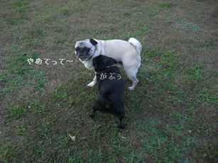 ラン4