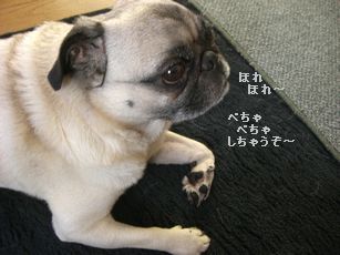 ぽっき4