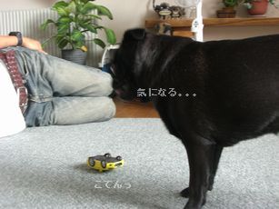 ミニカー1