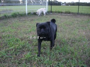 ラン8
