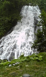 e16838c5.jpg