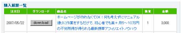 ���ӥ��ե���ޥ˥奢��