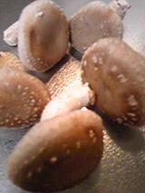 07d8b56d.jpg