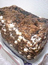 5977ac9c.jpg