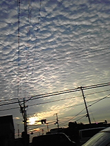 夕刻