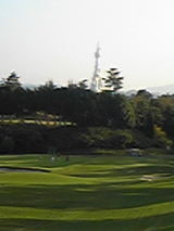 93c6d5d9.jpg