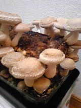 948ba75e.jpg