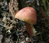 09226a2f.JPG