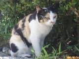 20050524125123.jpg