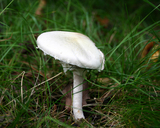 2f81ed97.JPG
