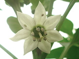 825d7440.jpg
