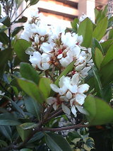 8375701c.jpg