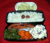 87e59511.JPG