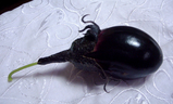 88b92bb9.jpg
