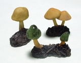 8b5574cb.JPG