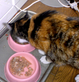 9b093115.jpg