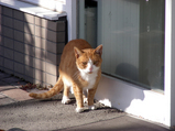 a426876d.JPG