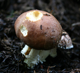 abbc62cc.JPG