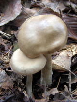 b156dee5.jpg