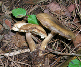 fd9f196f.JPG