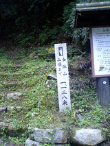 �緦���ȥ���