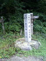 �緦���ȥ���