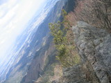 �緦����