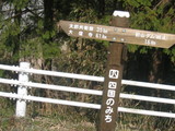 �緦����
