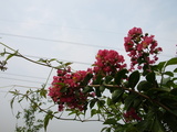 0338fee4.jpg