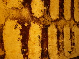 921b8f11.jpg