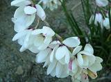 16日の今日は何の日日記 16日の今日は何の日日記