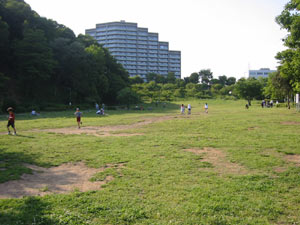 公園