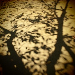 byway