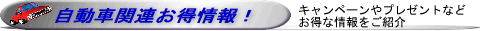 �����ڡ���Ҳ𸫽�