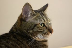 IMG_9444