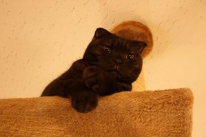 IMG_8868