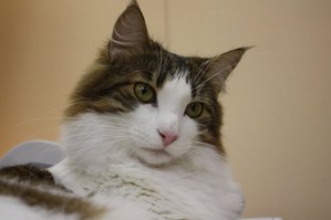 IMG_9452