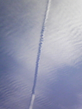 6a899d45.jpg