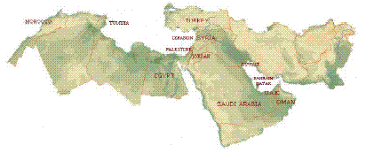 MENA���Ͽ�