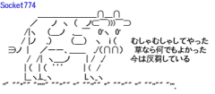 �ʤ�Ȥʤ��Фä�AA