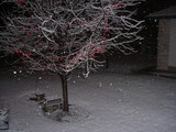 Snowing