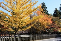 a13