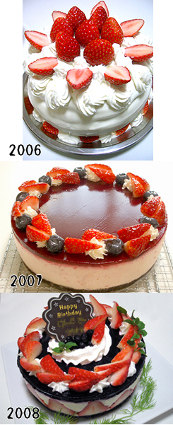 bir2009sam