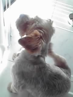 sunbathe���¤�BOW����
