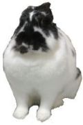 �����