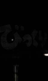 9900204f.jpg