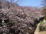 王子公園