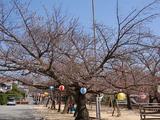 護国神社