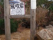 いのしし