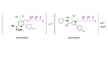 Rosuvastatin Calcium